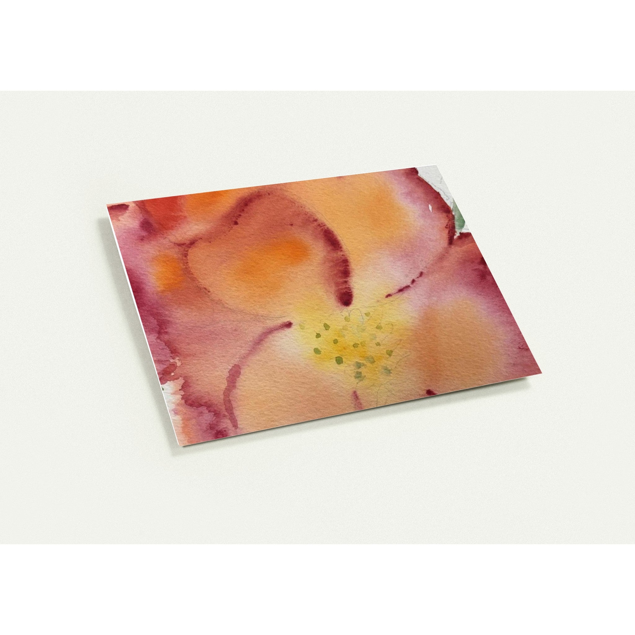 455d3fab-1453-4d16-965e-60bd05c20446