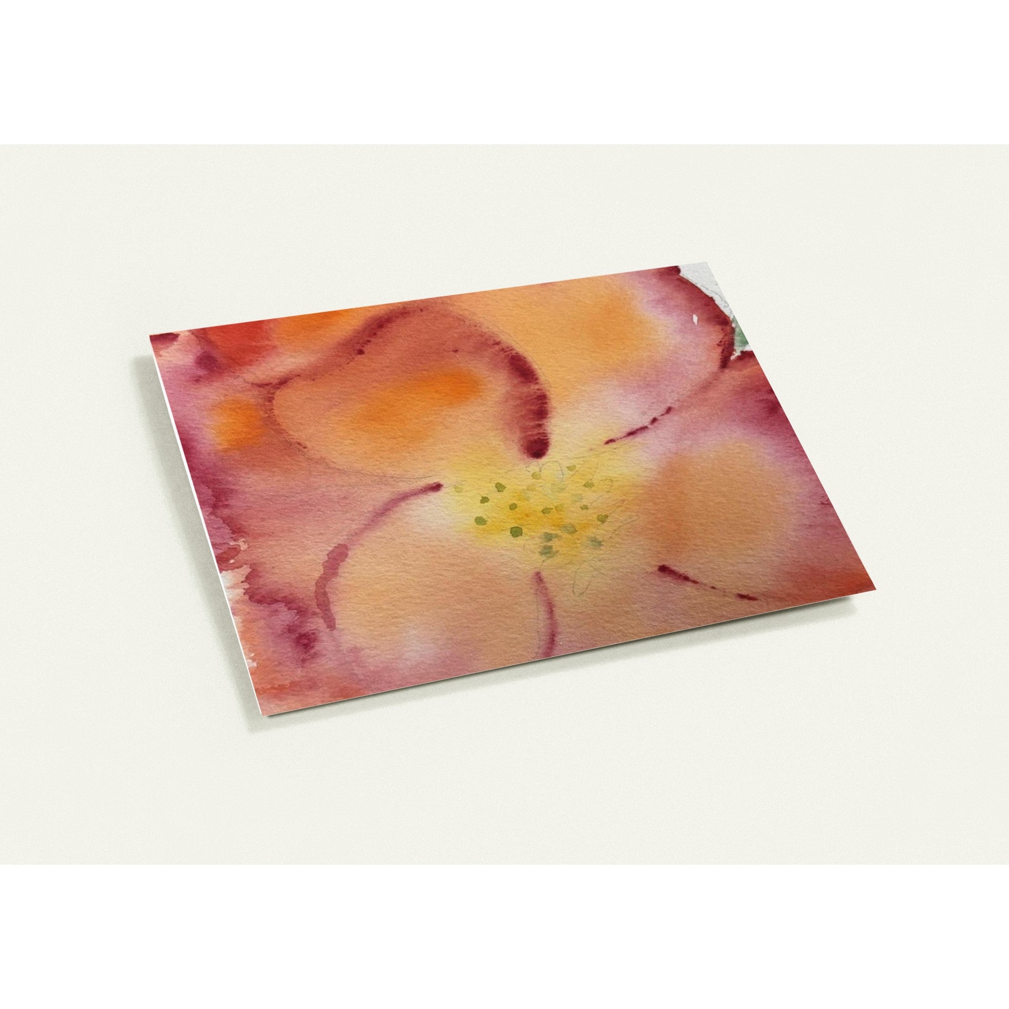 ef388348-6db7-4c2b-8c69-4e225a2f162c